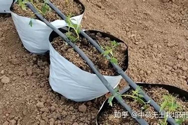 国内比较好水溶肥厂家有哪些