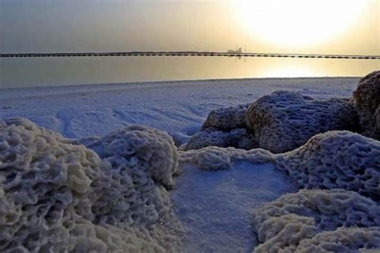 茫崖兴元钾肥有限责任公司怎么样？