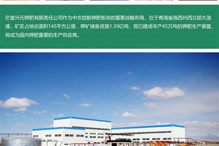 中农钾肥是国企吗