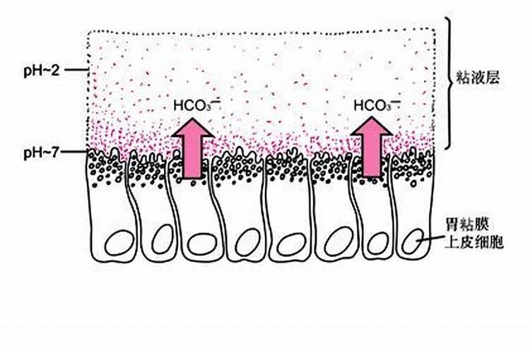 碳酸氢铵能否随水冲施