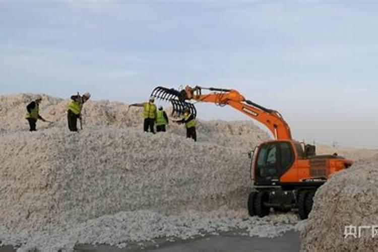 柠檬专用肥可以给别的花用吗？