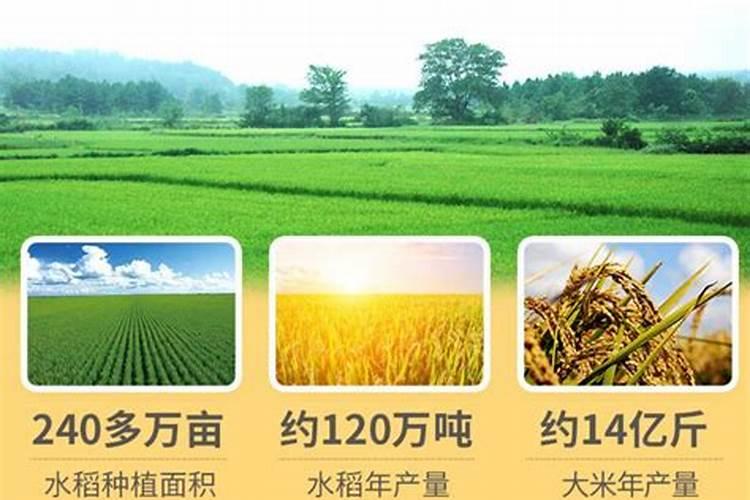 花生产一百公斤需氮磷钾各是多少