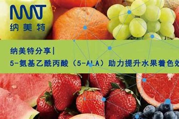 枣树用什么叶面肥增产、着色效果最好,应该什么时候用？