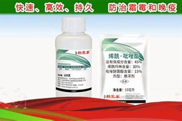 葡萄套袋前用什么药