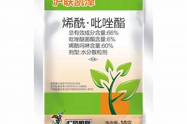 葡萄套袋前需要打什么药呢？