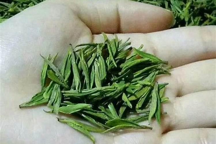 果园后期叶面肥用什么好