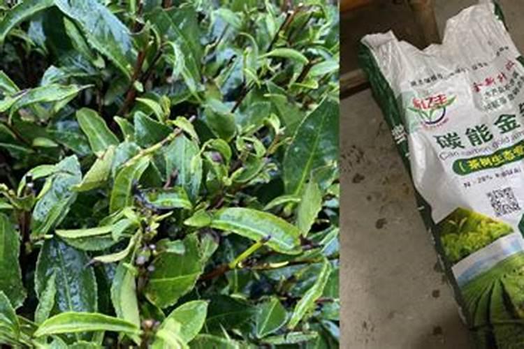 西瓜五斤左右用复合肥,尿素,水溶肥,钾肥一起施可以吗