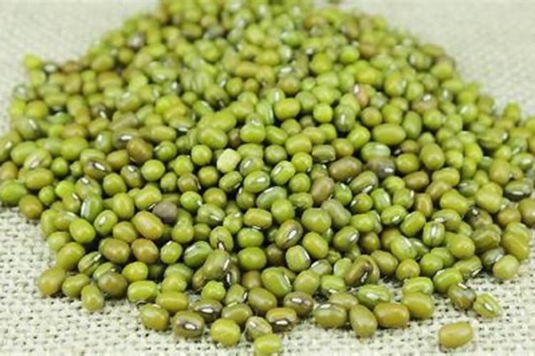 过期绿豆能不能做花肥