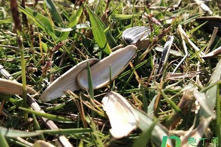 微量元素和维生素区别