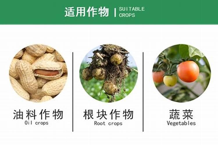 ...值多少？可以跟其他物质发生化学反应吗？放进化肥与复合肥灌溉农作物会...