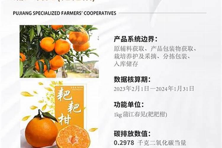 耙耙柑施什么有机肥怎么施肥