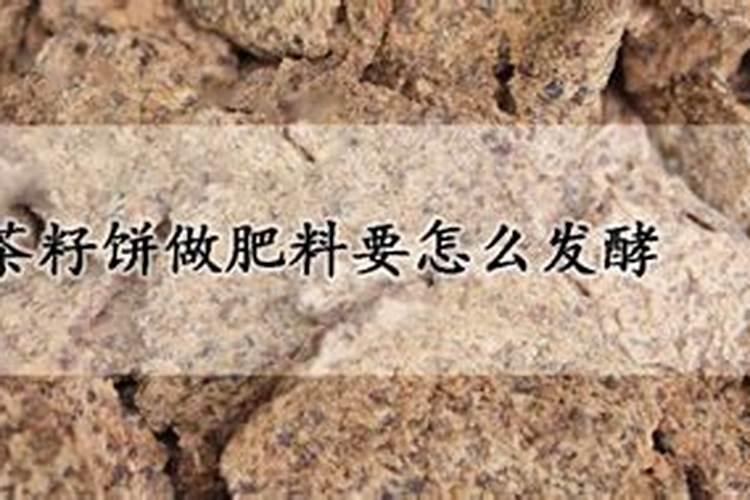 茶籽饼怎么发酵做肥料