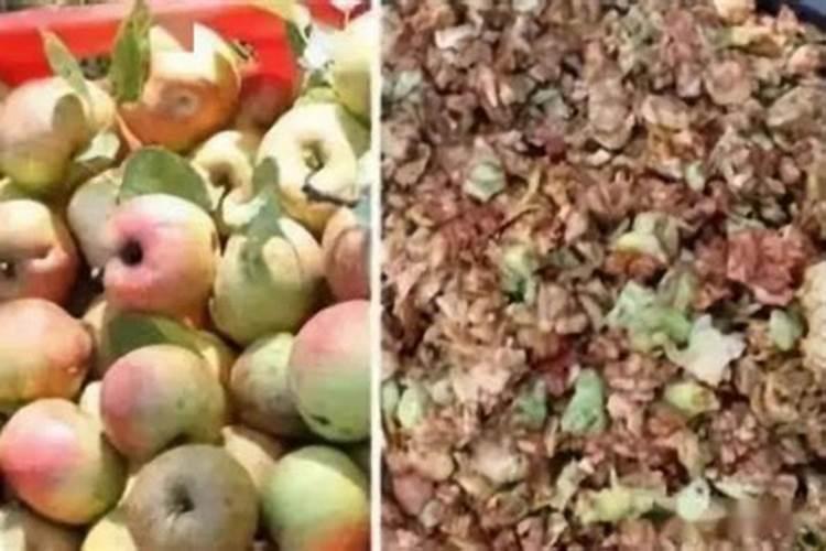 栽苹果树施什么肥最好