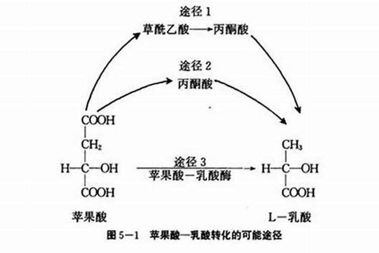 苹果树秋施基肥用什么肥好