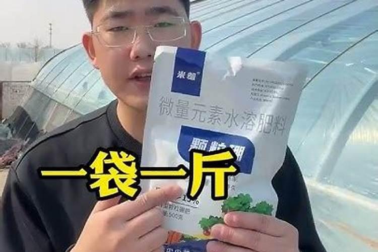 鲜豆浆有哪些营养成分？