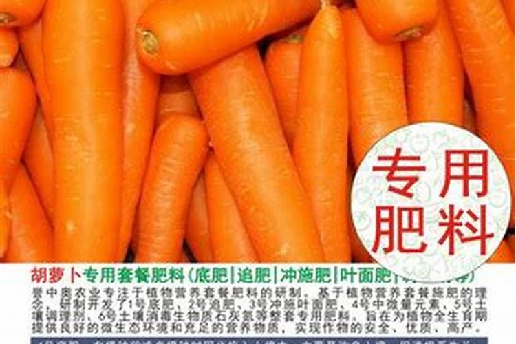 日光温室胡萝卜高效栽培要点 胡萝卜怎么施肥