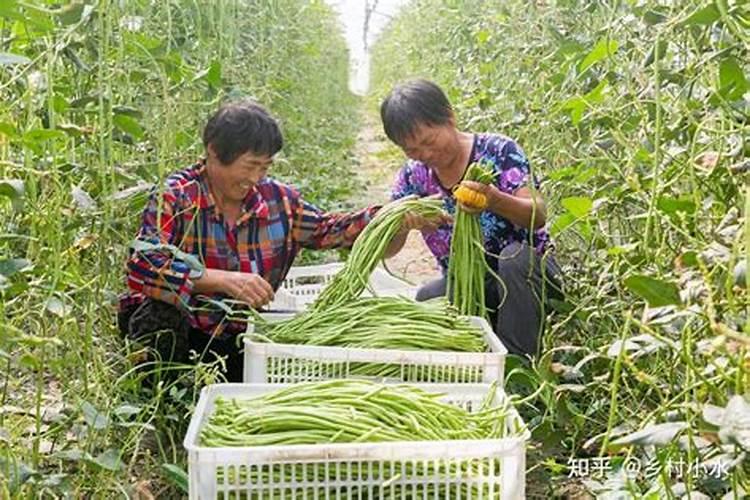 罗布泊钾盐产量排名