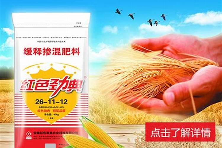 春季小麦施什么肥合适(开春小麦主要上什么肥料为主)