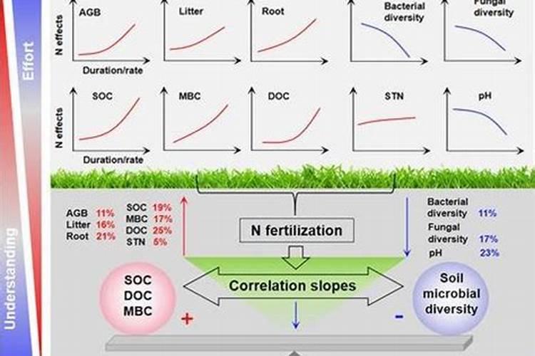 养兰花用什么植料