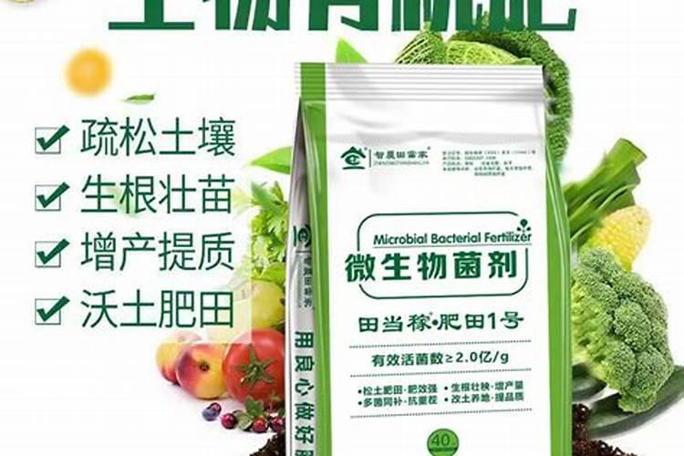 温室大棚冬天怎么管理