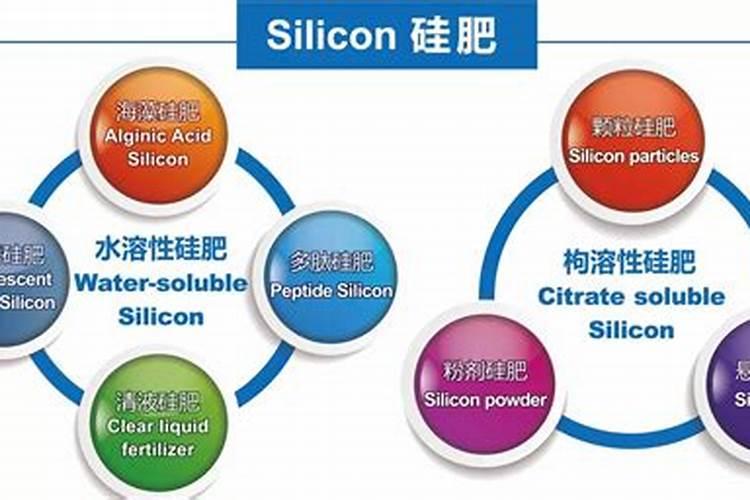 水稻硅肥正确使用方法 什么时候使用效果好