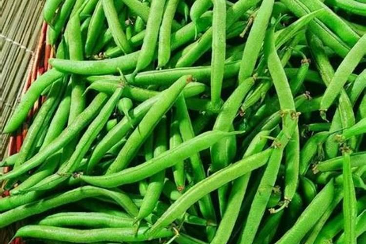 蔬菜甘油和甘油什么区别