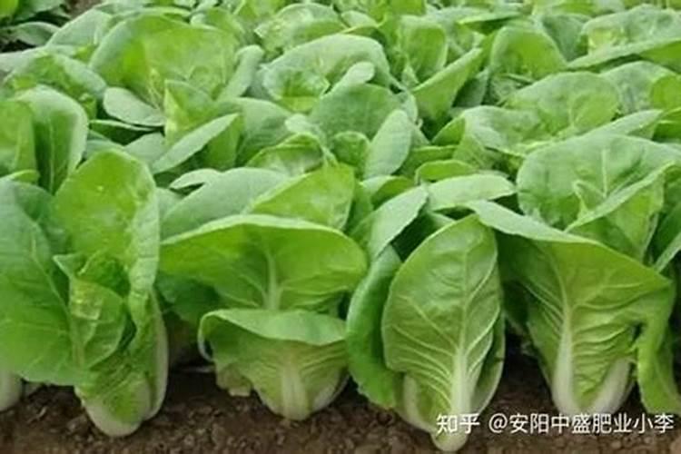 上海复合肥厂名单