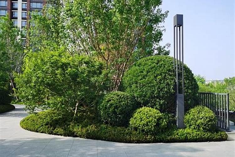 花肥排行榜前十名肥品牌