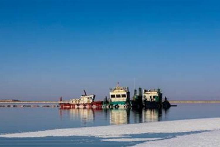 芸苔素和麦地除草剂一起用好吗？