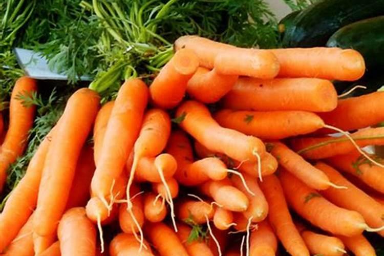 蝴蝶兰如何修剪花苞快速成型