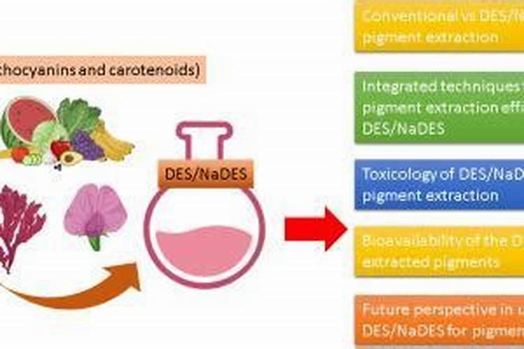 蝴蝶兰如何修剪花苞快速成型