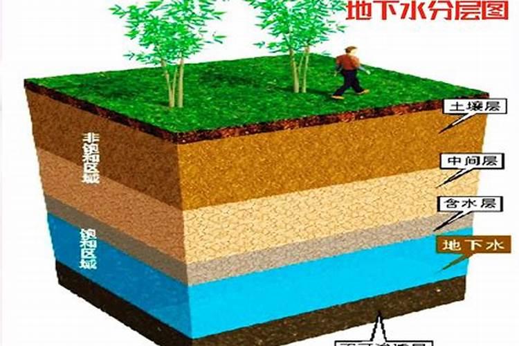 流体硼叶面肥作用