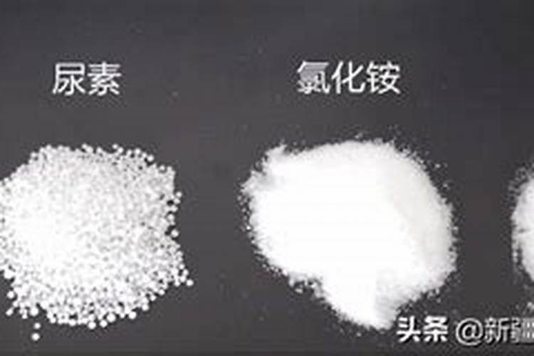 食用盐可以做肥料吗？