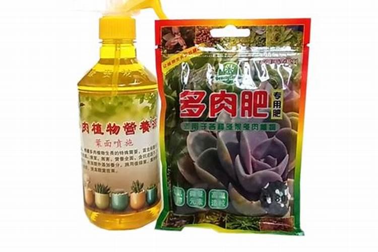 辣椒下雨天追肥要埋土吗