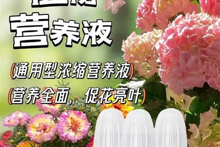 氮肥与水果、蔬菜品质有何关系？