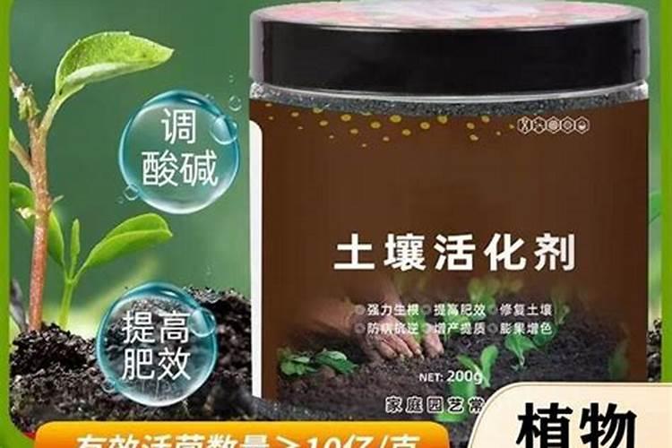 盛花期的苹果树能不能喷芸苔素？