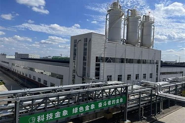 眉山金象化工怎么样