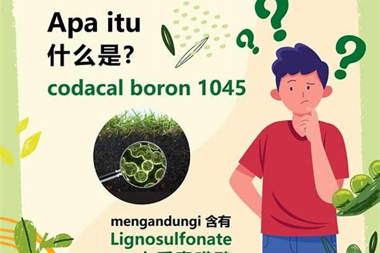 芸苔素能促进生根吗