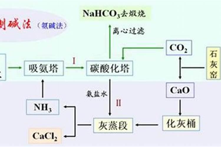 黄瓜的三个最佳肥料