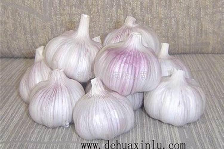 大蒜用什么肥料生根快？