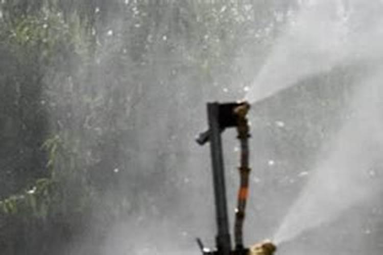 叶面肥能晚上喷吗