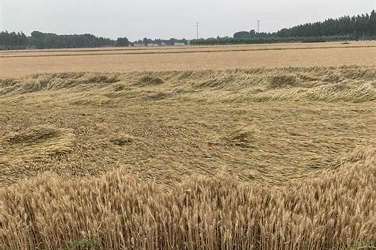 花生什么时候追肥