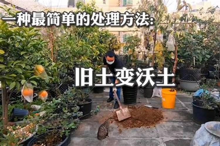 有机钾肥有哪些？