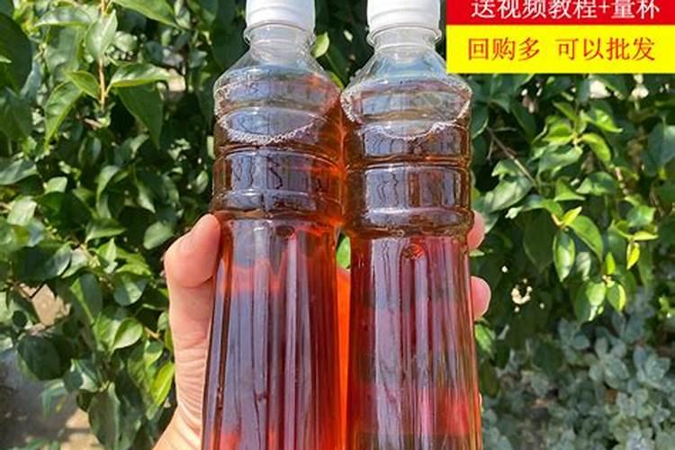 姜下种时可以拌草木灰吗？