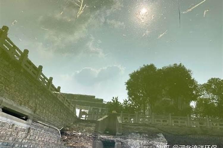 叶片发黄缺什么化肥化学 烧苗怎么补救