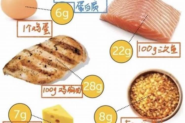 动物蛋白和植物蛋白有什么区别