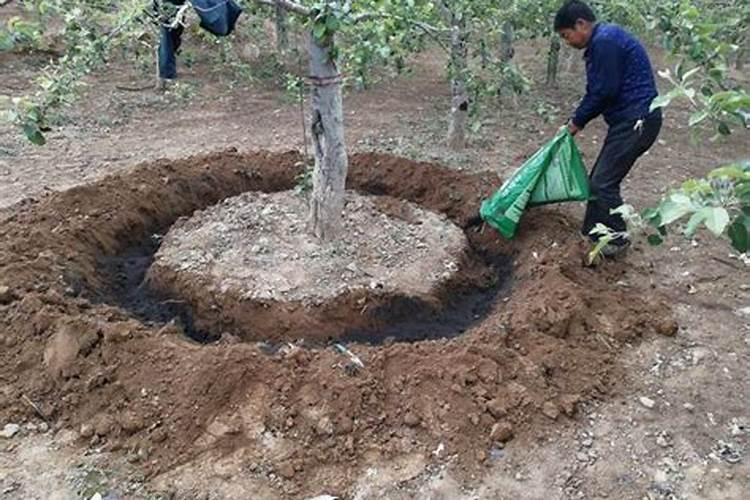 大量元水溶肥和中量元素、微量元素水溶肥的区别？