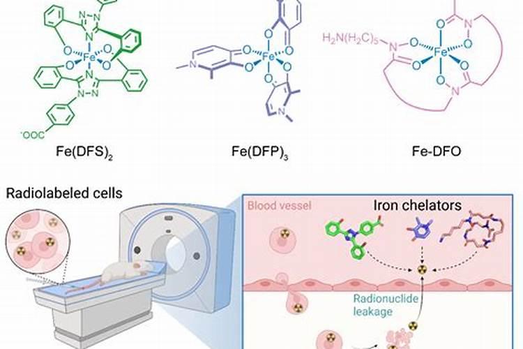 月季有肥害还可以用螯合铁吗