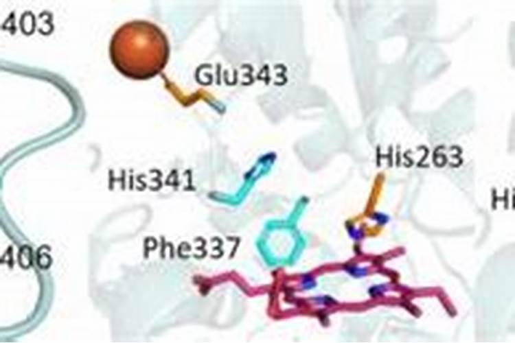 罗汉罗能一直施微量元素吗