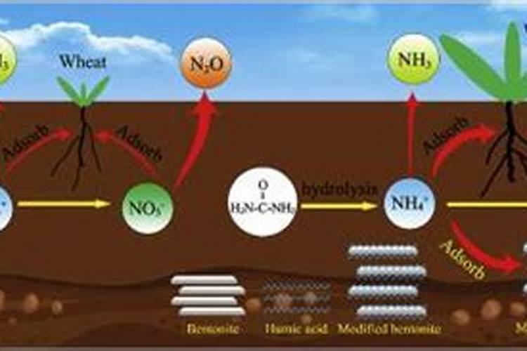 克寡糖农业用的剂型含量是多少
